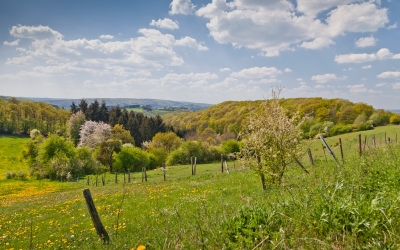  Pourquoi les Ardennes sont une destination idéale pour vos vacances de printemps