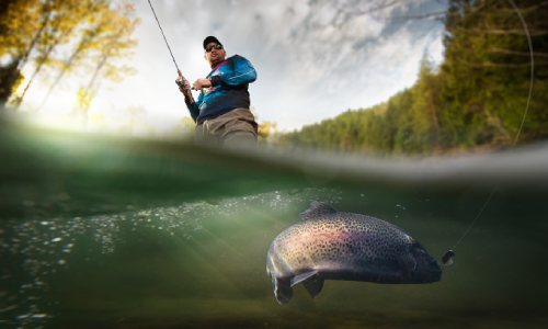 Loger en appart-hôtel en Ardenne belge pour vos partie de pêche